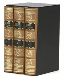 Книги в кожаном переплёте "Подвиги человеческого ума" в 3-х томах Книги в кожаном переплёте "Подвиги человеческого ума" в 3-х томах