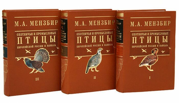 Книги в кожаном переплёте "Охотничьи и промысловые птицы Европейской России и Кавказа" М.Мензбир, в 3-х томах