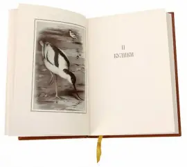 Книги в кожаном переплёте "Охотничьи и промысловые птицы Европейской России и Кавказа" М.Мензбир, в 3-х томах
