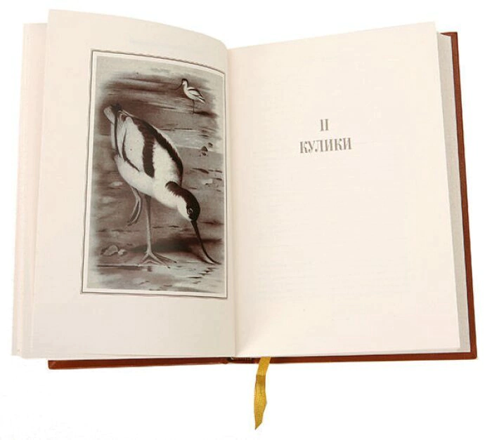 Leather-bound books "Hunting and commercial birds of European Russia and the Caucasus" by M.Menzbir, in 3 volumes