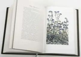 Книга в кожаном переплёте "Жизнь Арсеньева" И.Бунин Книга в кожаном переплёте "Жизнь Арсеньева" И.Бунин