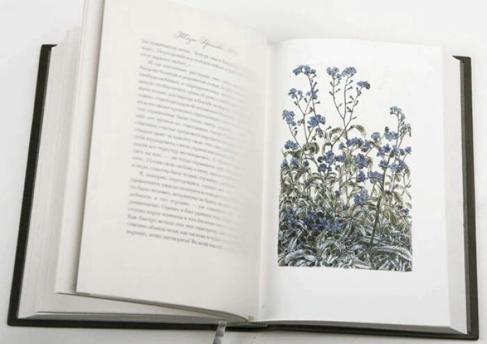 The leather-bound book "The Life of Arsenyev" by I. Bunin