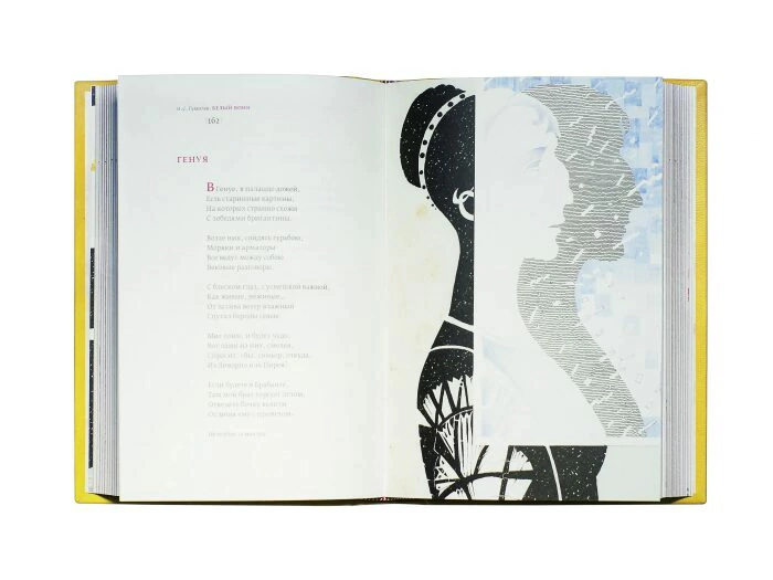 The leather-bound book "The White Warrior" by N. Gumilev