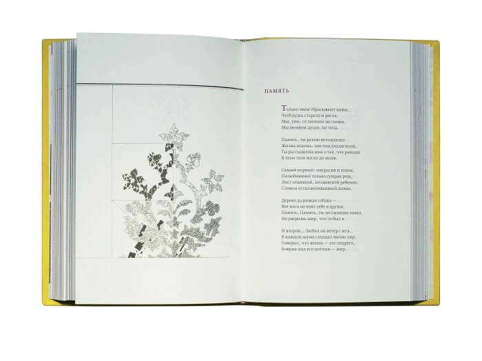 The leather-bound book "The White Warrior" by N. Gumilev