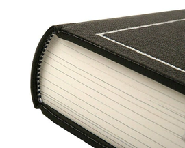 The leather-bound book "Shadow" by E. Schwartz