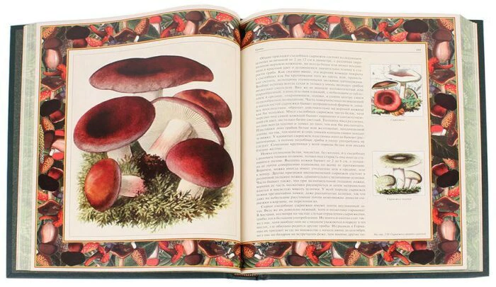 A gift book in a leather cover "Russian forest. Mushrooms and berries"