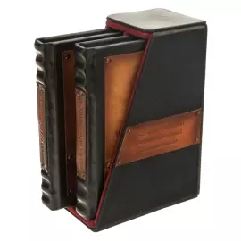 Книга в кожаном переплете "История службы государственной безопасности"