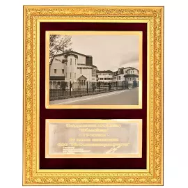 Corporate panel on an individual project, Zlatoust