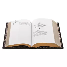 The leather-bound book "48 laws of power"