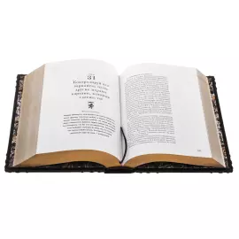 The leather-bound book "48 laws of power"