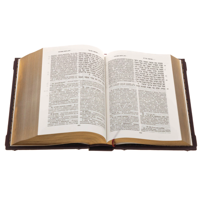 The leather-bound book "The Torah. The Pentateuch and the Haftarot"