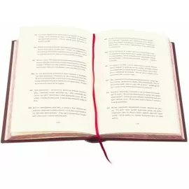 Подарочная книга в кожаном переплете "Витязь в тигровой шкуре"