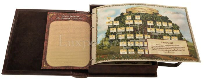Подарочный альбом в кожаном переплете "Родословная книга" в коробе
