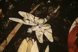 Панно из ореха и янтаря  "Журавли"