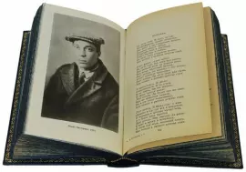 Подарочные книги в кожаном переплете "Пастернак Б. Собрание сочинений" в 5 томах