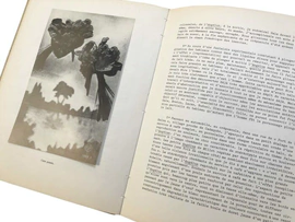 Книга с автографом Сальвадора Дали