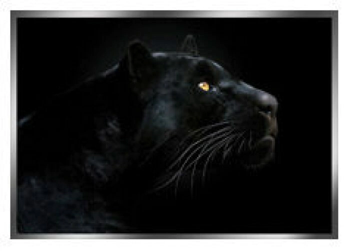 The painting "Panther" on a mirror basis