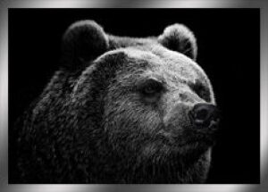 The painting "The Bear" on a mirror basis
