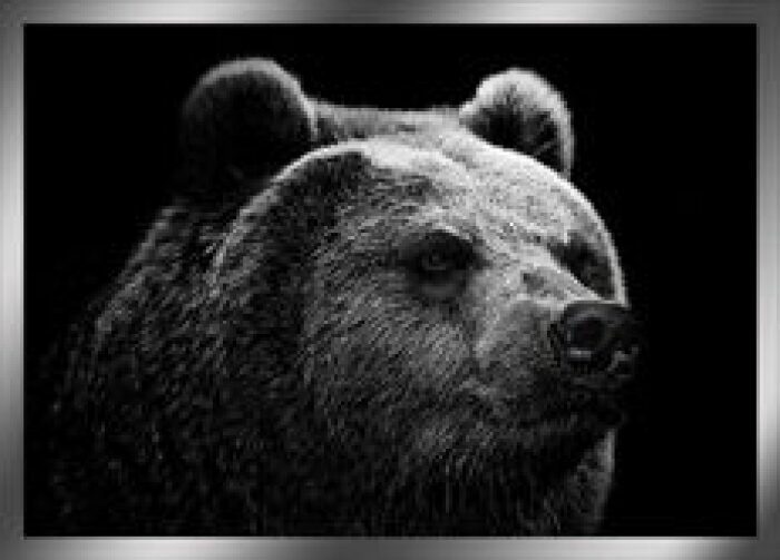 The painting "The Bear" on a mirror basis
