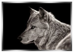 The painting "Wolf" on a mirrored surface