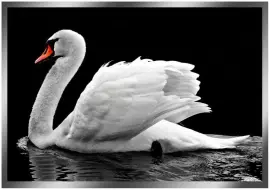 Painting “The Swan" on a mirror base