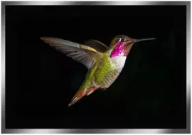 Painting “Hummingbird" on a mirror base