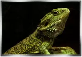 The painting “The Green Dragon" on a mirror base