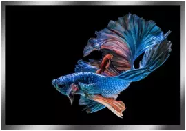 Painting “Blue fish" on a mirror base