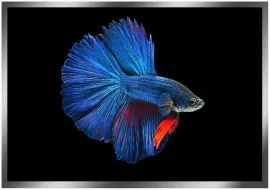 Painting “Blue fish" on a mirror base