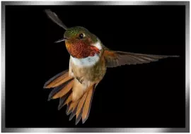 The painting “In flight” on a mirror basis