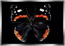 Painting “Butterfly” on a mirror base