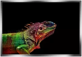 The painting “Colored Dragon" on a mirror base