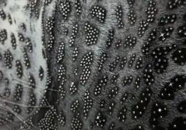 Картина "Леопард" на зеркале, Swarovski