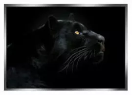 The painting "Black Panther" on a mirror basis