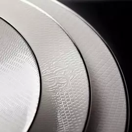 Пиала "Lizzard platin"