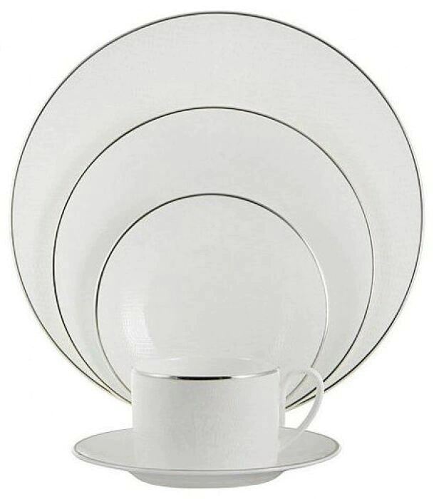 The "Lizzard platin" wildcard plate