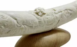 Композиция из бивня мамонта "Карпы и лотос"