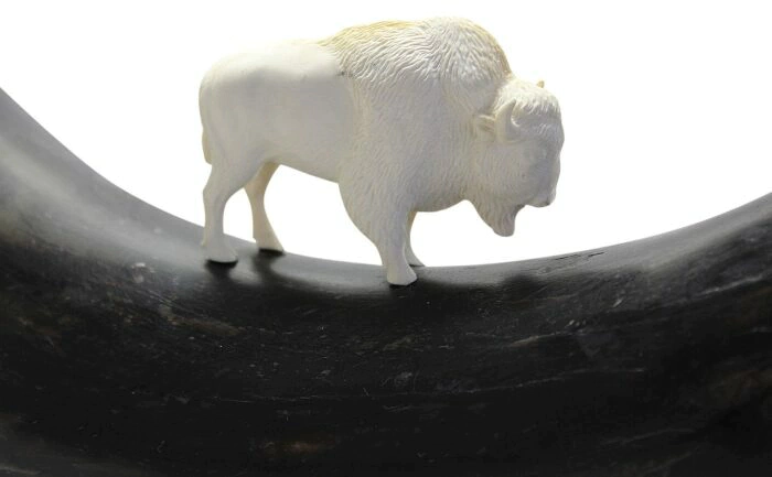 The composition of the mammoth tusk "Ancient buffalo"