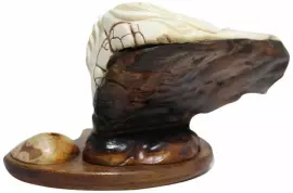 Pisces writing device