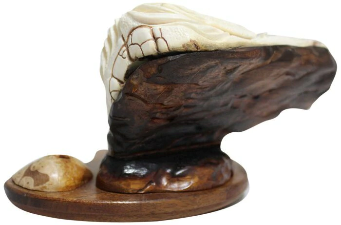 Pisces writing device