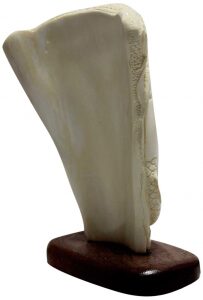 Mammoth tusk composition "Guardians of Harmony"