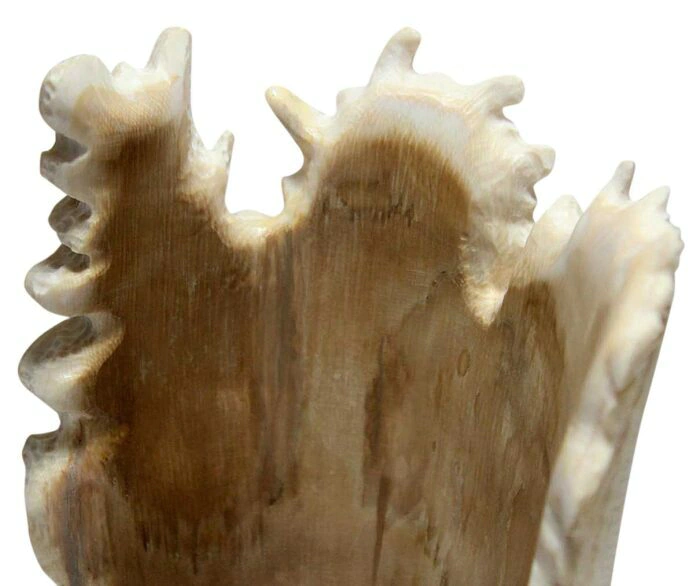 The composition of the mammoth tusk "Guardian of the World"
