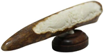 Mammoth tusk composition "Pearl of Asia"