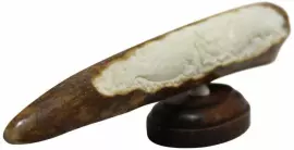 Композиция из бивня мамонта "Жемчужина азии"