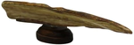Mammoth tusk composition "Pearl of Asia"