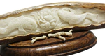 Composition of a mammoth tusk "White Lotus"