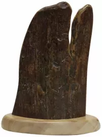 Композиция из бивня мамонта "Лесной кабан"