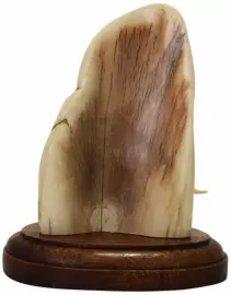 Композиция из бивня мамонта "Отшельник"