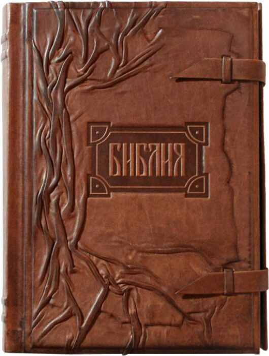 Bible with a flap (gold edged)