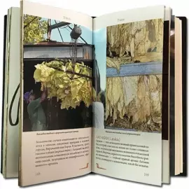 Книга в кожаном переплете "Трубки"